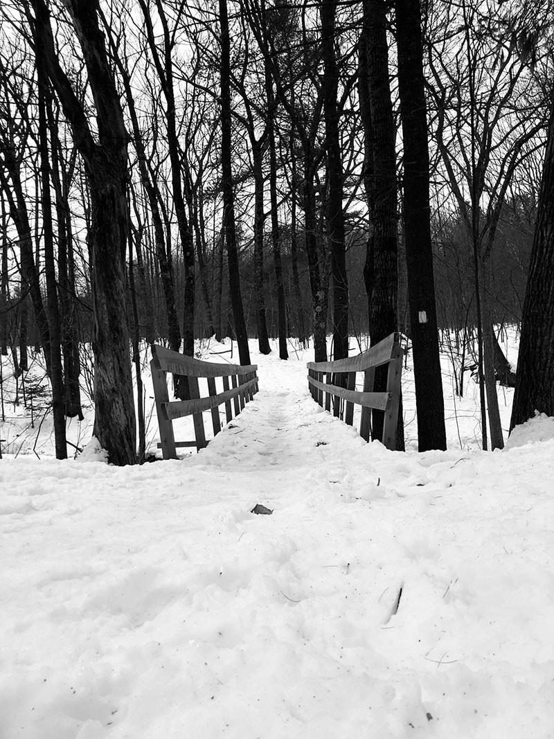 Well-worn trail through the woods approaching a wooden bridge. A tree on the right has a square white trail blaze on its trunk. 
