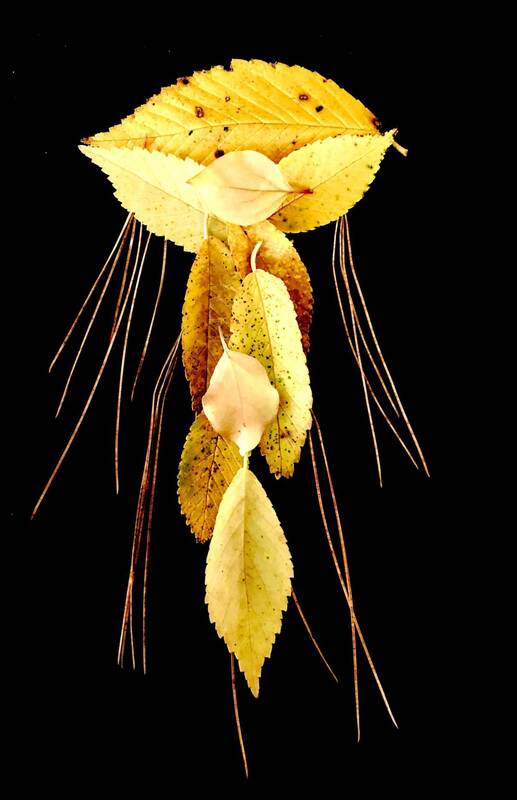 Collage of a yellow jellyfish using leaves and pine needles on a black background